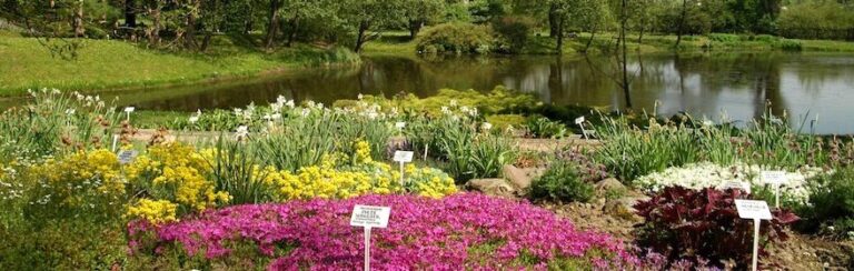 Święto Botaniki w Ogrodzie Botanicznym UMCS