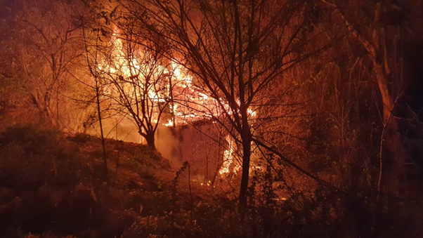 Nocny pożar pustostanu w Lublinie. Nie żyją trzy osoby