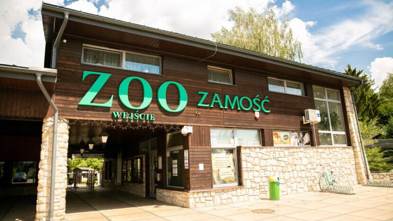 Darmowe zwiedzanie ZOO w Zamościu!